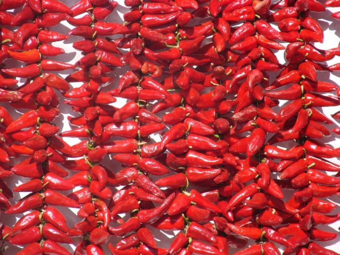 espelette-piment
