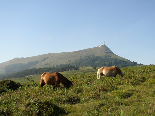 La rhune et ses pottocks