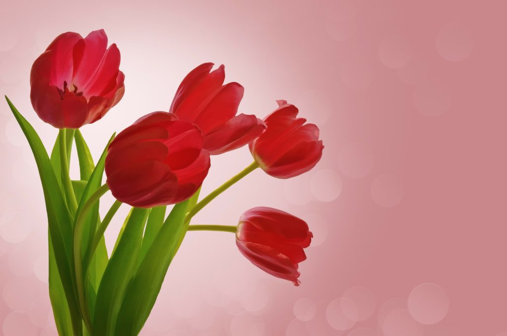 Spécial Saint Valentin : week- end en amoureux au Pays basque